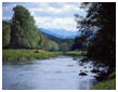 Finnock Pool