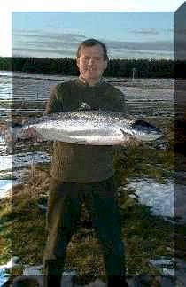 16 lbs Spring Salmon