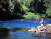 Bridge Pool