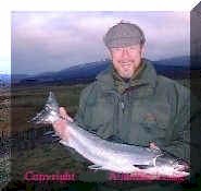 Spring-salmon.jpg (8990 Byte)