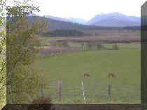 Spring View from Ailanbeg Cottage to Cairngorm Nature Reserve