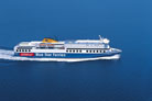 Blue Star1