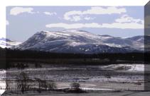 Winter View from Ailanbeg Cottage to Cairngorm Nature Reserve