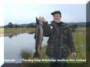 salmon_1.jpg (22991 Byte)